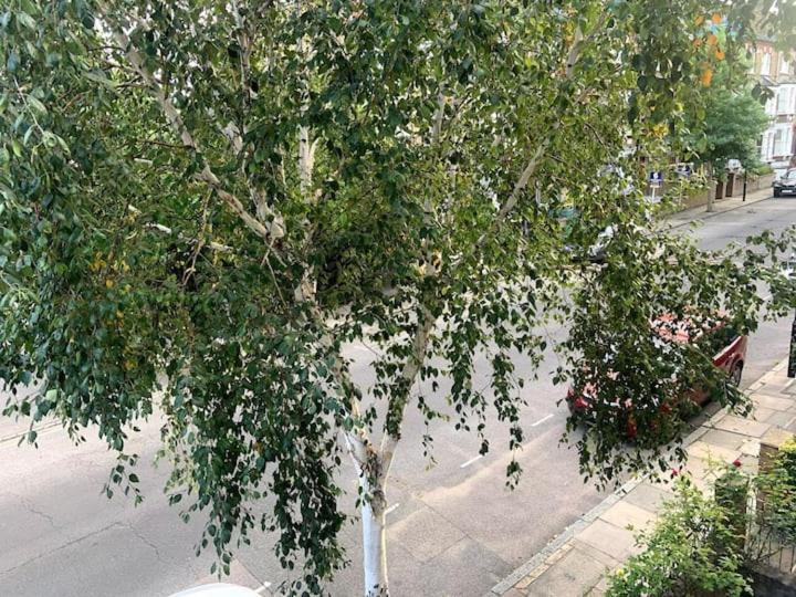 Lovely Spacious 1-Bedroom Flat In Tufnell Park Close To Central Londra Dış mekan fotoğraf